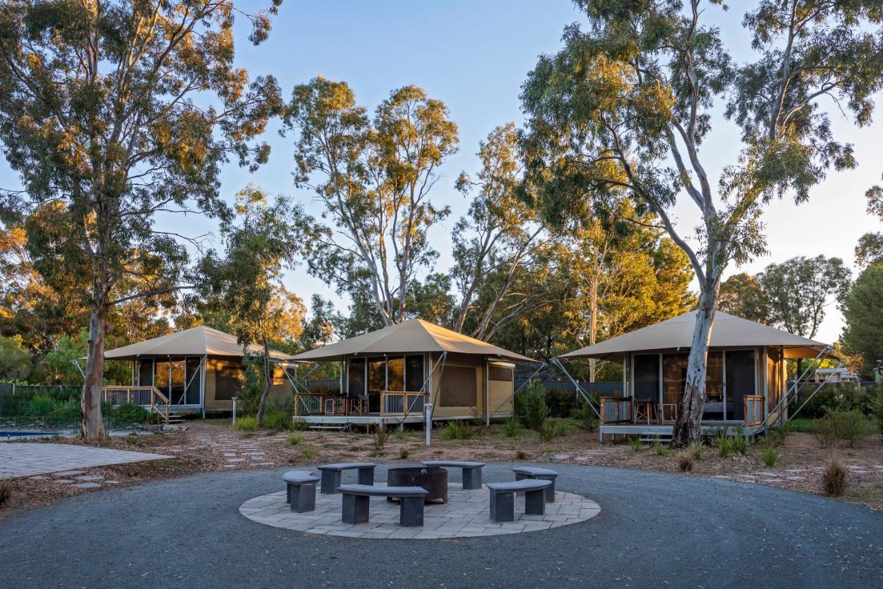 Discovery Parks - Barossa Valley Tanunda Bagian luar foto