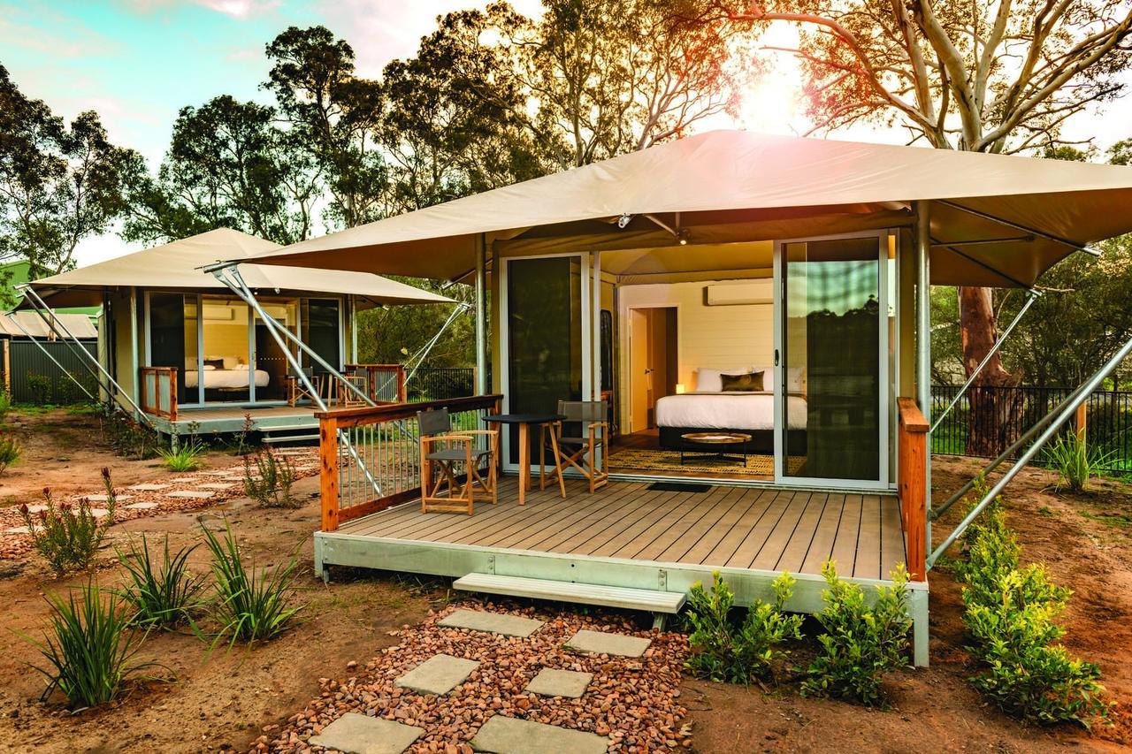 Discovery Parks - Barossa Valley Tanunda Bagian luar foto